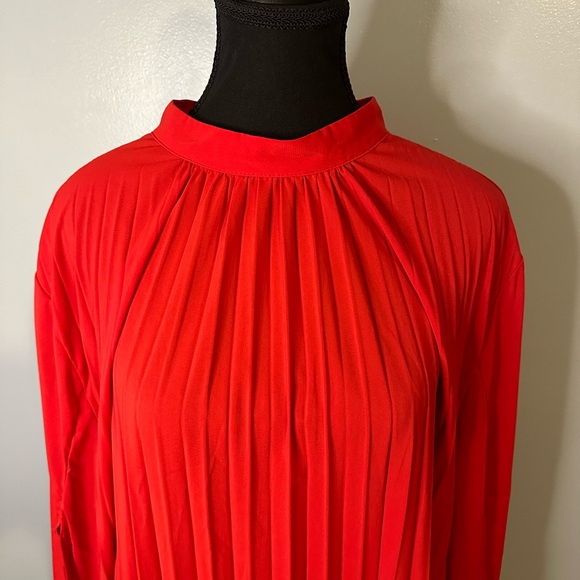 LADY IN RED PLEATED PLUS SIZE DRESS - Picture 3 of 5